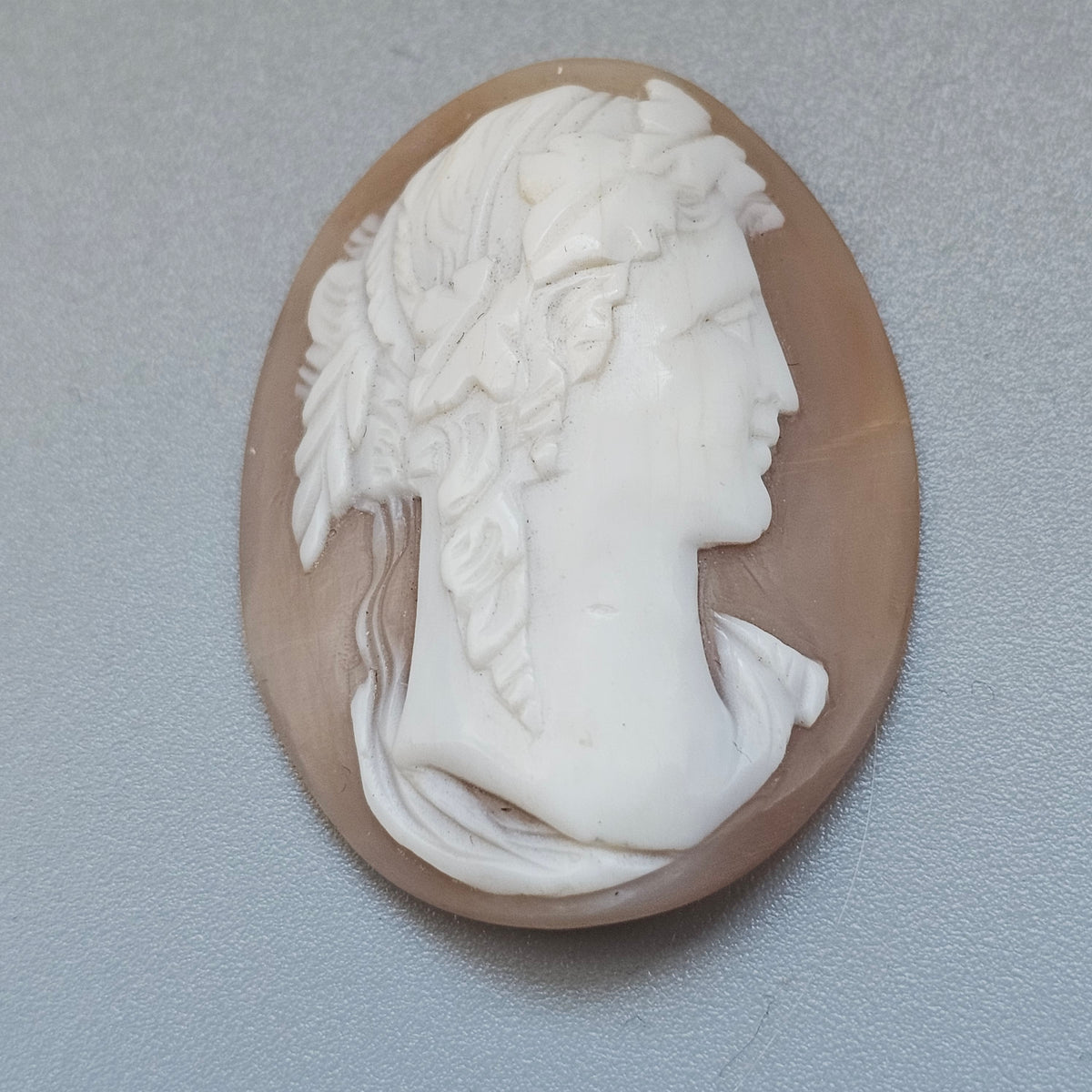 Antique Loose Carved Shell Classical Male Cameo Cabochon