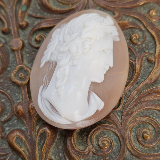 Antique Loose Carved Shell Classical Male Cameo Cabochon