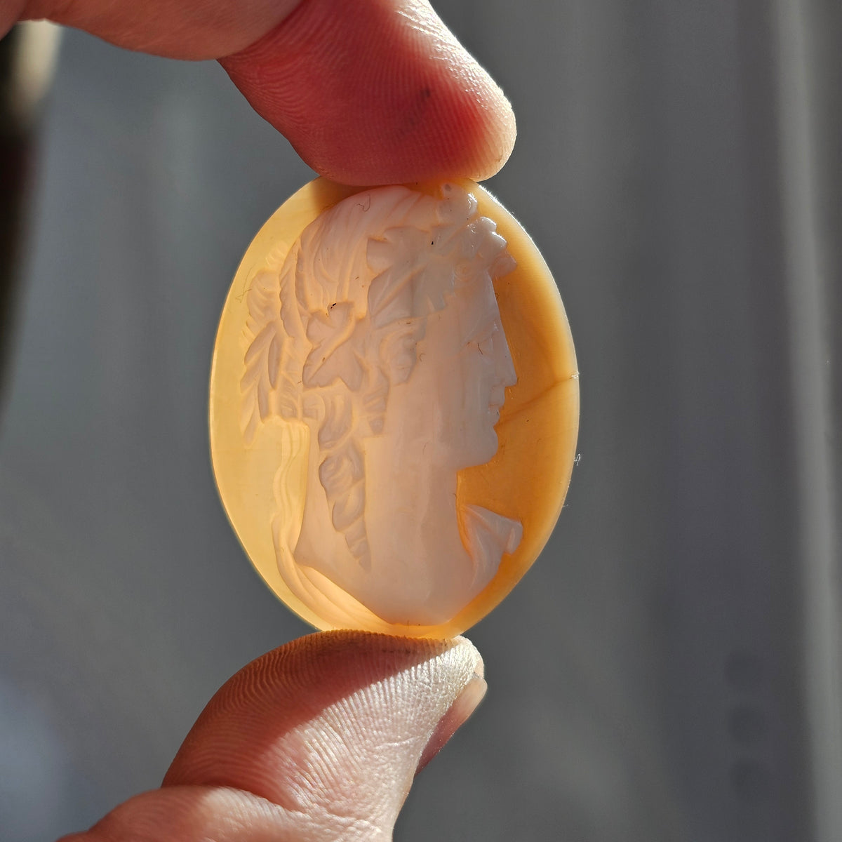 Antique Loose Carved Shell Classical Male Cameo Cabochon